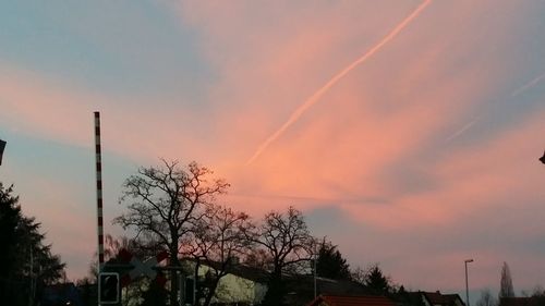 Low angle view of trees against sky at sunset