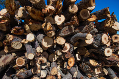 Full frame shot of stack of tree logs
