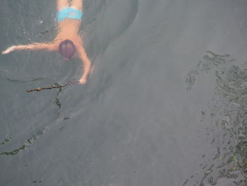 High angle view of boy swimming in sea