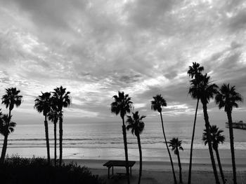Silhouette palm trees on beach against sky
