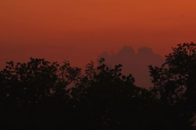 Low angle view of silhouette trees against sky during sunset