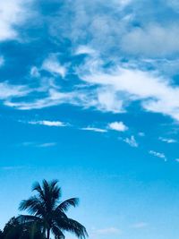 Low angle view of palm trees against blue sky