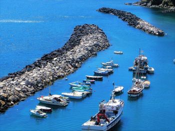 High angle view of boats moored at harbor