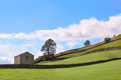 Scenic view of grassy field against cloudy sky