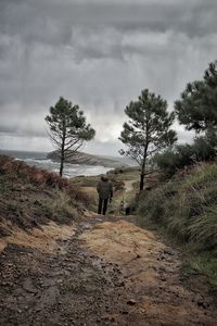 Rear view of man walking on land against sky