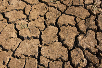 Dry cracked land of a waterhole
