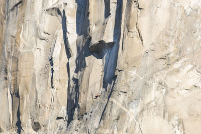 Athlete climbing the great roof on the nose, el capitan, at sunrise