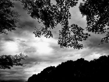 Low angle view of trees against cloudy sky