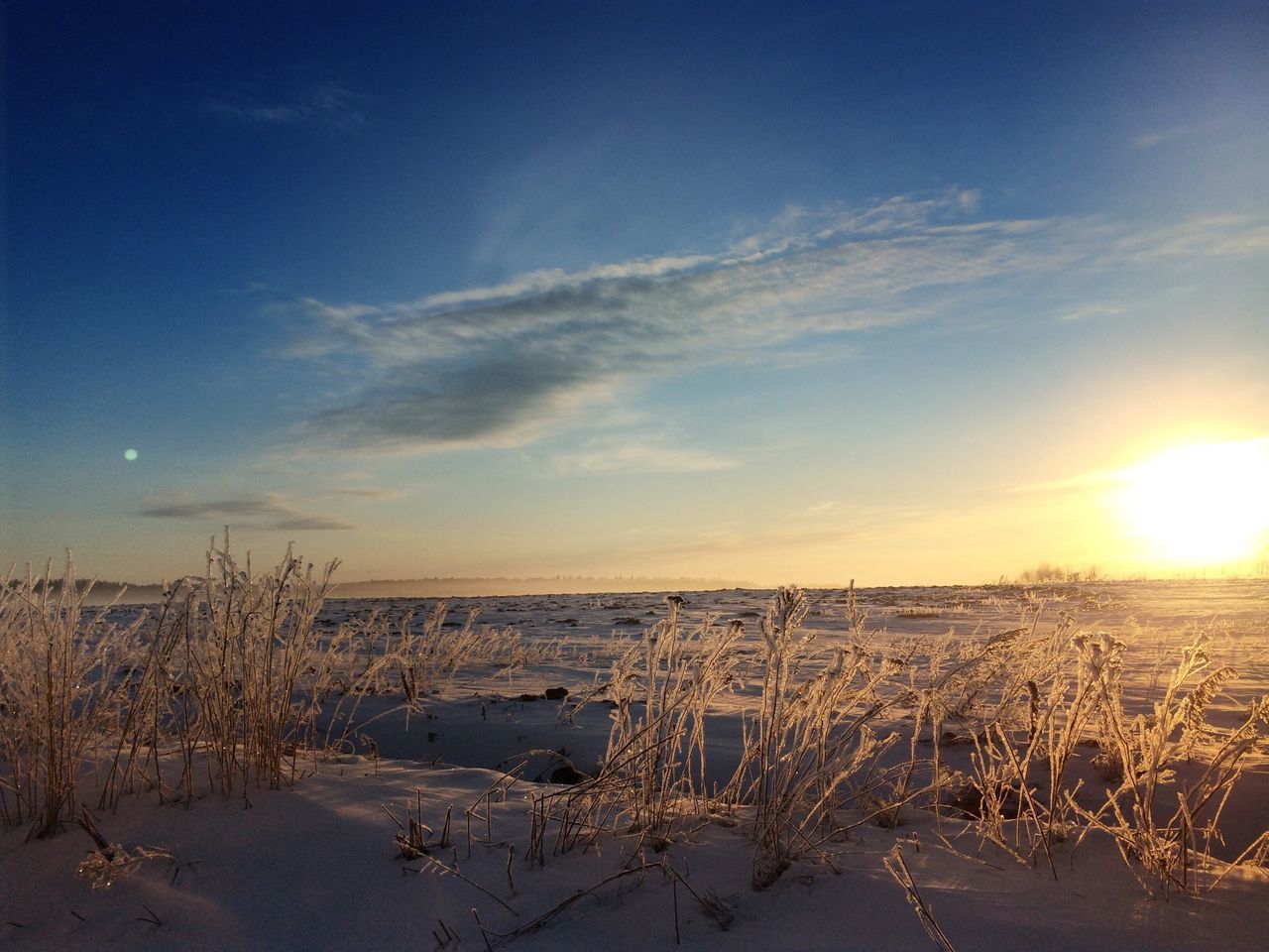 Пестовская Гавань