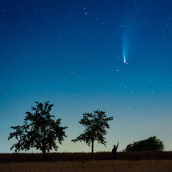 Silhouette trees on field against sky at night