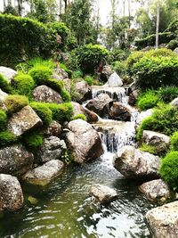 Scenic view of waterfall