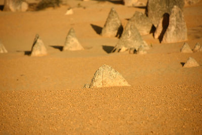 Surface level of sand