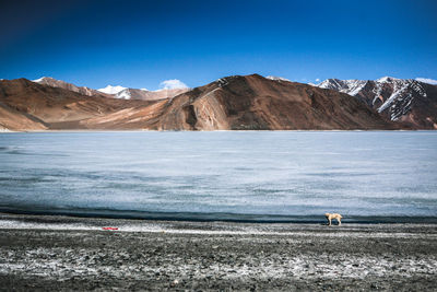 Scenic view of mountains against blue sky