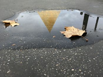 Close-up of puddle