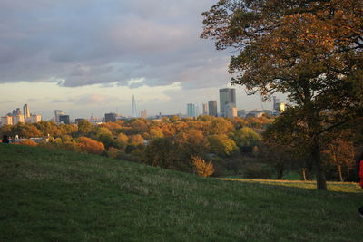 Trees and cityscape against sky during sunset