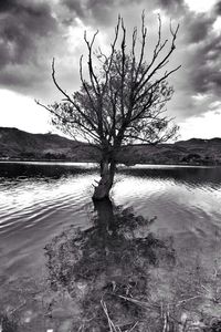 Bare trees by lake against cloudy sky