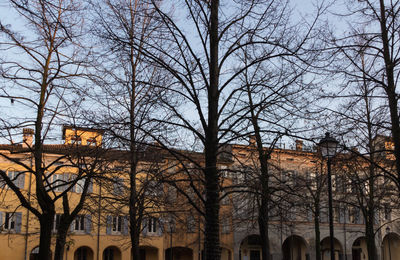 Low angle view of trees and buildings against sky