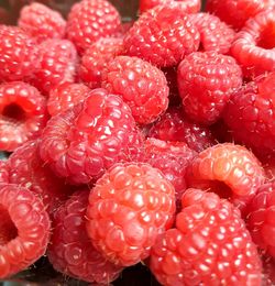 Close-up of strawberries