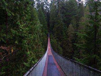 Footbridge amidst trees in forest