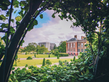 Trees and plants growing in garden