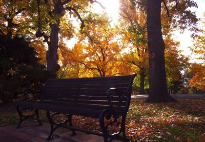 Empty bench against trees in park