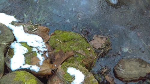 High angle view of water flowing through rocks