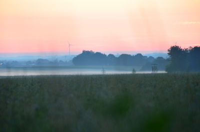 Scenic view of field against sky during sunset