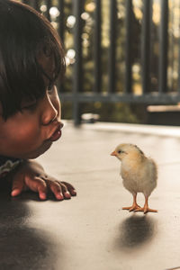 Portrait of boy looking at bird