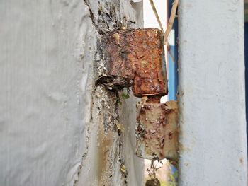 Close-up of rusty metal door