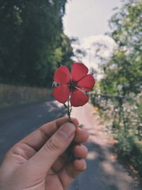 Close-up of hand holding red flower