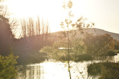 Scenic view of lake against clear sky