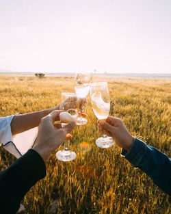 Cropped hands of friends toasting champagne flutes on field against sky