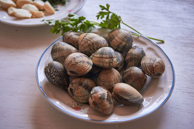 High angle view of shells in bowl on table