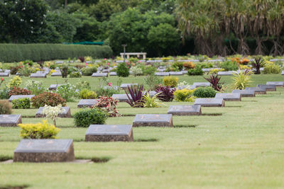 View of cemetery at garden