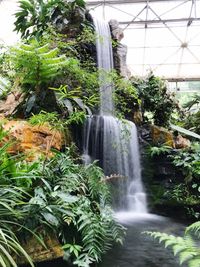 Scenic view of waterfall