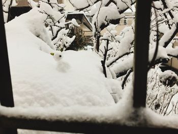 Snow on landscape