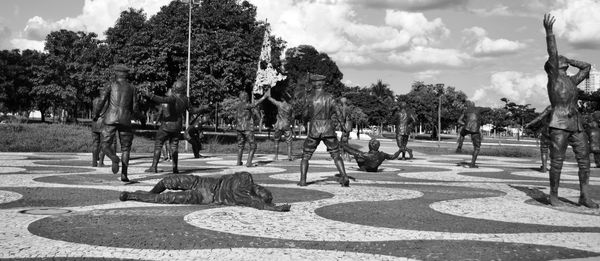 Trees in park