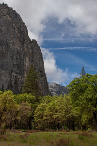 Scenic view of trees and mountains against sky