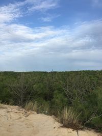Scenic view of field against sky