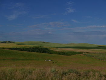 Scenic view of green landscape against sky