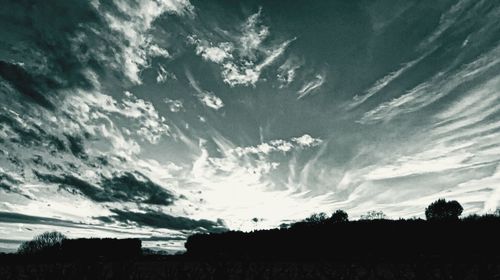 Low angle view of silhouette trees on field against sky