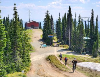 People biking on the mountain amidst trees