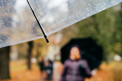 Close-up of wet umbrella during rainy season