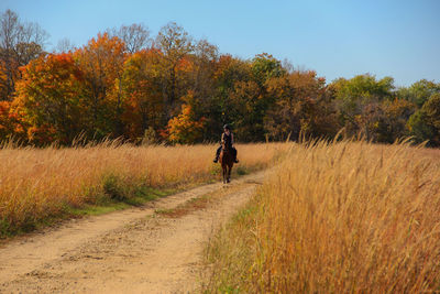 Girl riding horse on road amidst field during autumn