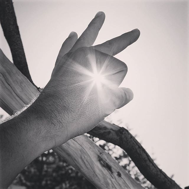 person, sun, part of, sunbeam, sunlight, holding, human finger, cropped, lens flare, close-up, low angle view, unrecognizable person, sky, clear sky, back lit, day, sunny