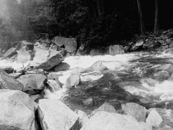 Rocks in stream