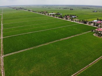 High angle view of agricultural field