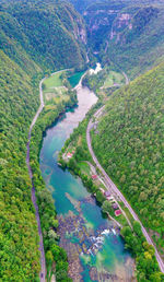 High angle view of river amidst trees