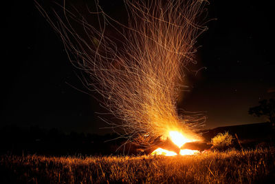 Close-up of illuminated field against sky at night