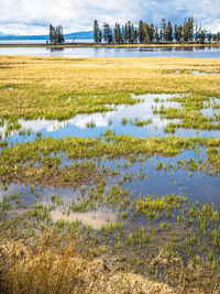 Scenic view of lake against sky